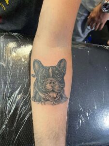 A realistic black and grey pet portrait tattoo of a French Bulldog on a forearm, custom-designed and tattooed by Kurt Bayeta at Octosquidink Boracay.
